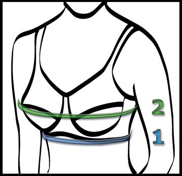 bra measurement illustration